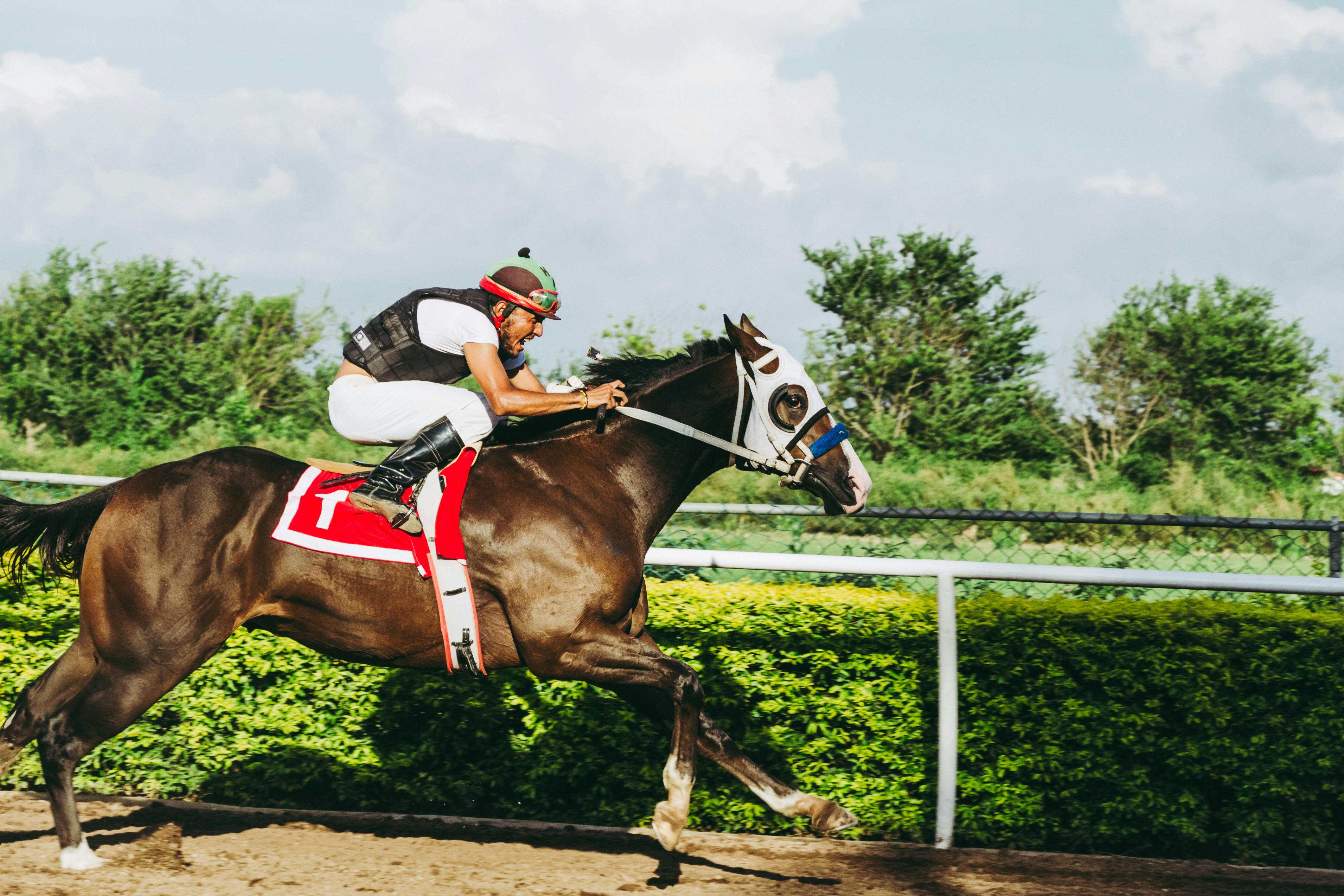 カジノ AI は人間よりも競馬の結果を正確に予測できるか?