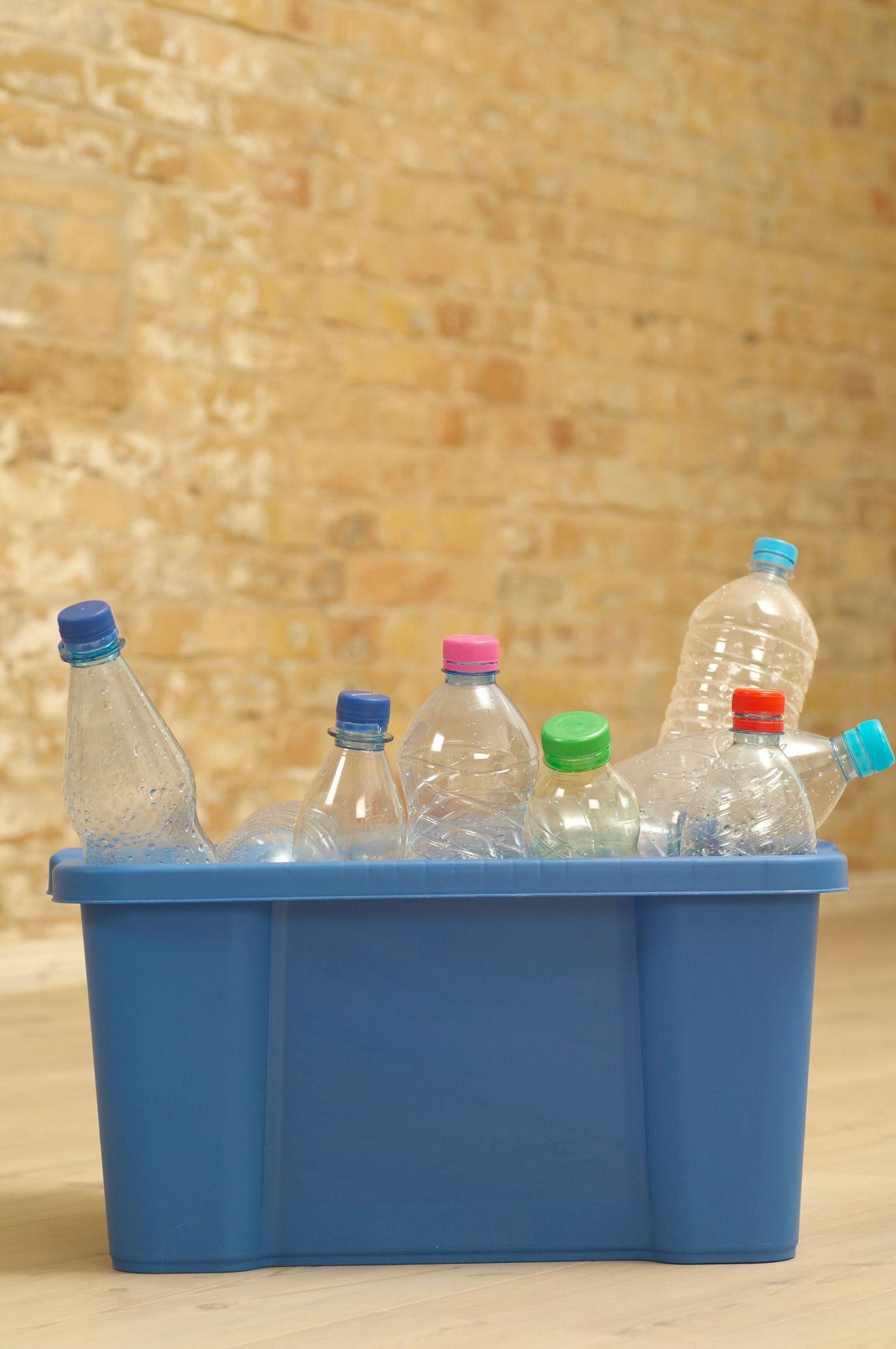 The Hidden Environmental Cost of Single-Use Plastic Bottles