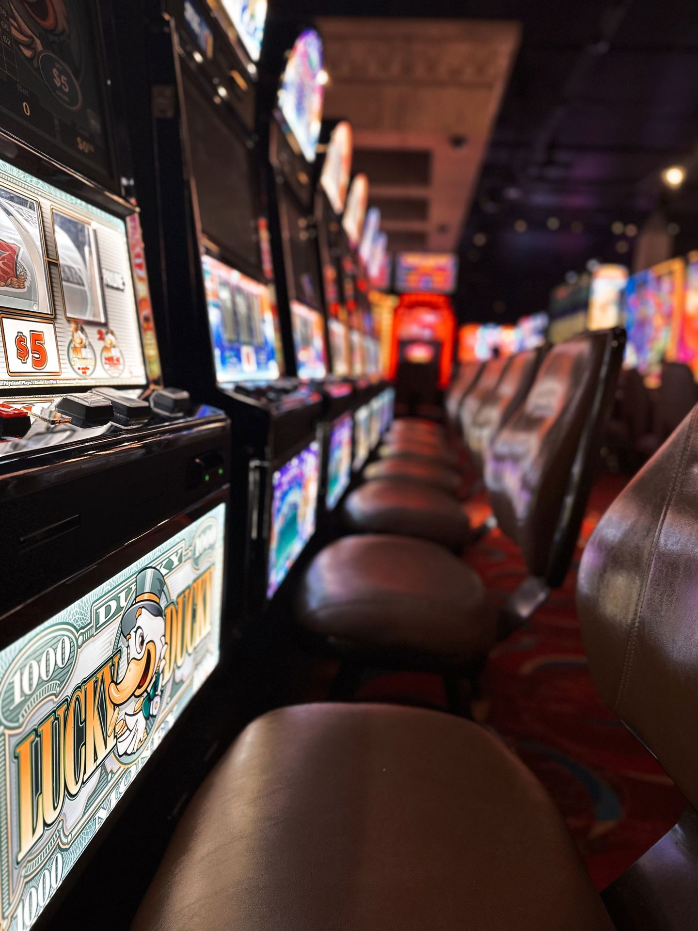 A row of casino slot machines glowing at nigh