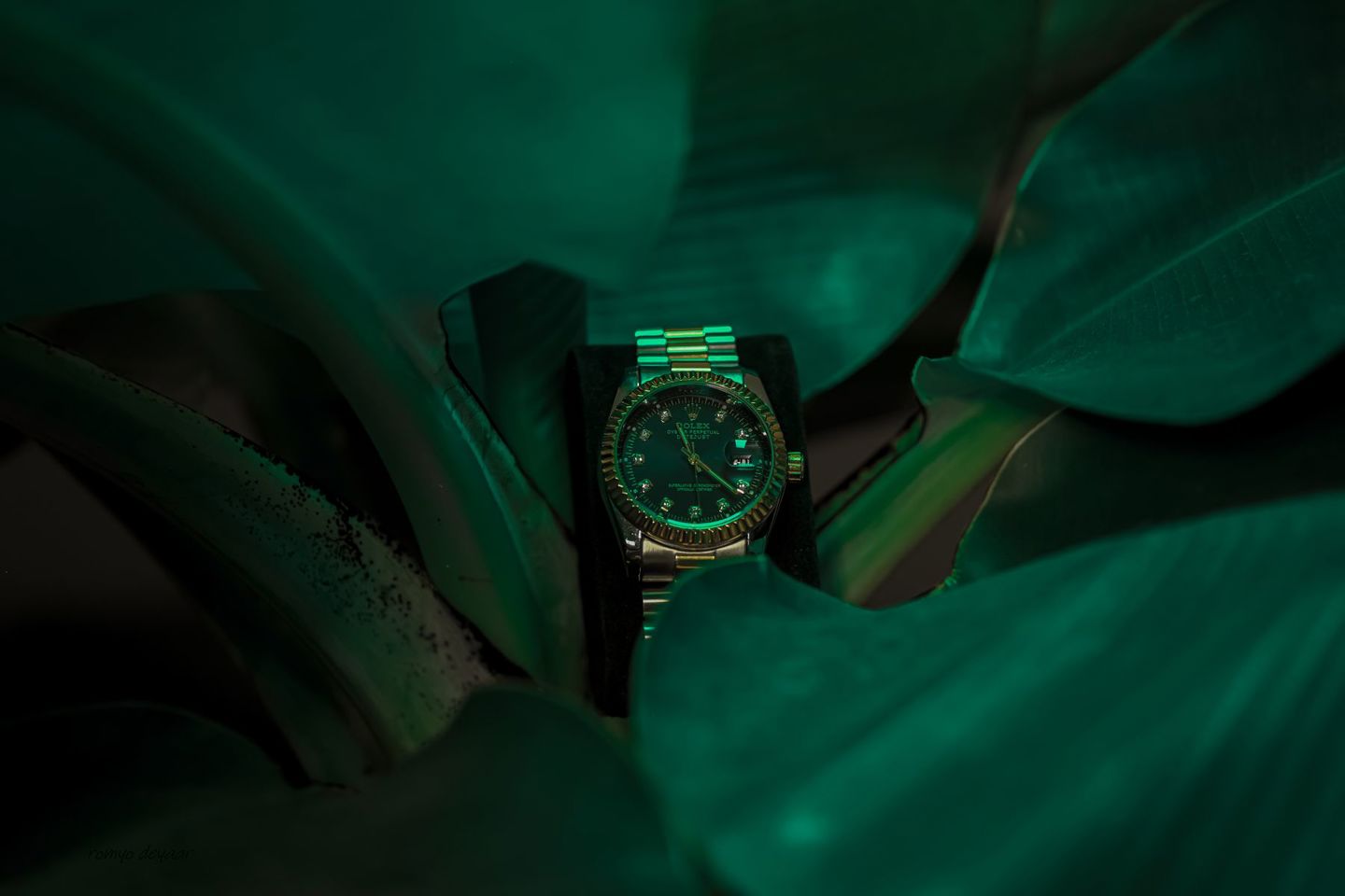 Elegant Rolex wristwatch nestled among vibran